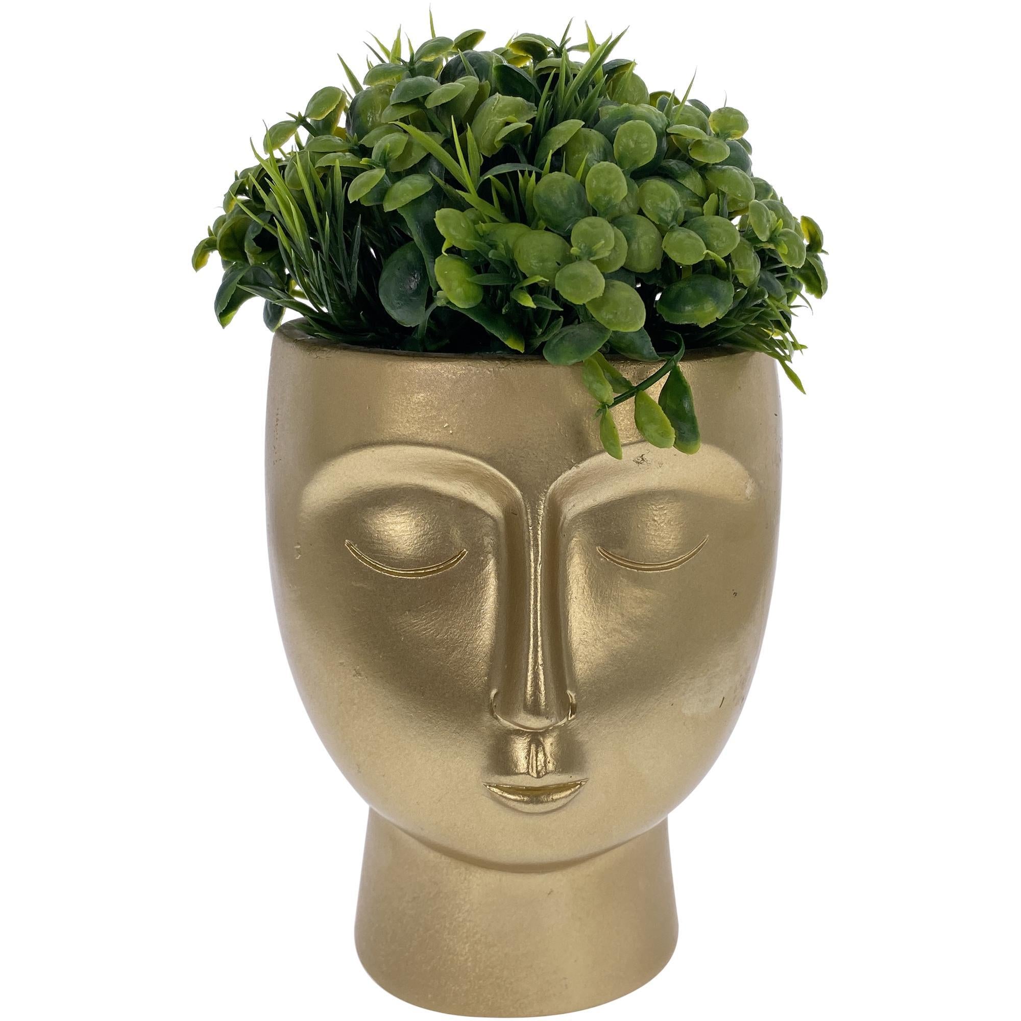 PLANTA