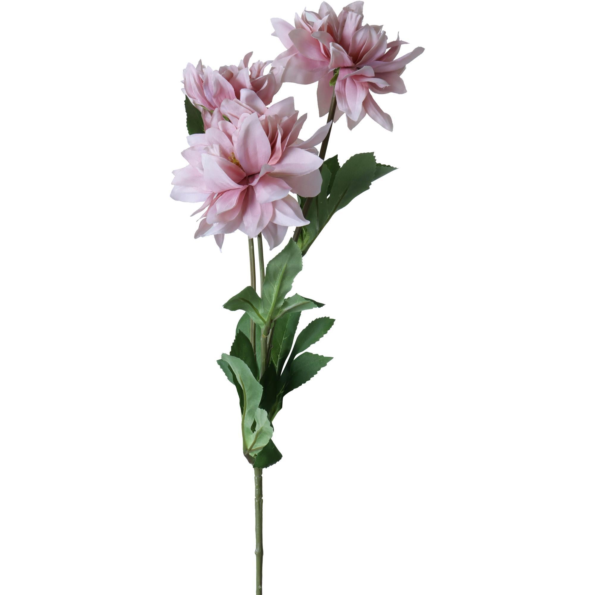 FLOR DALIA