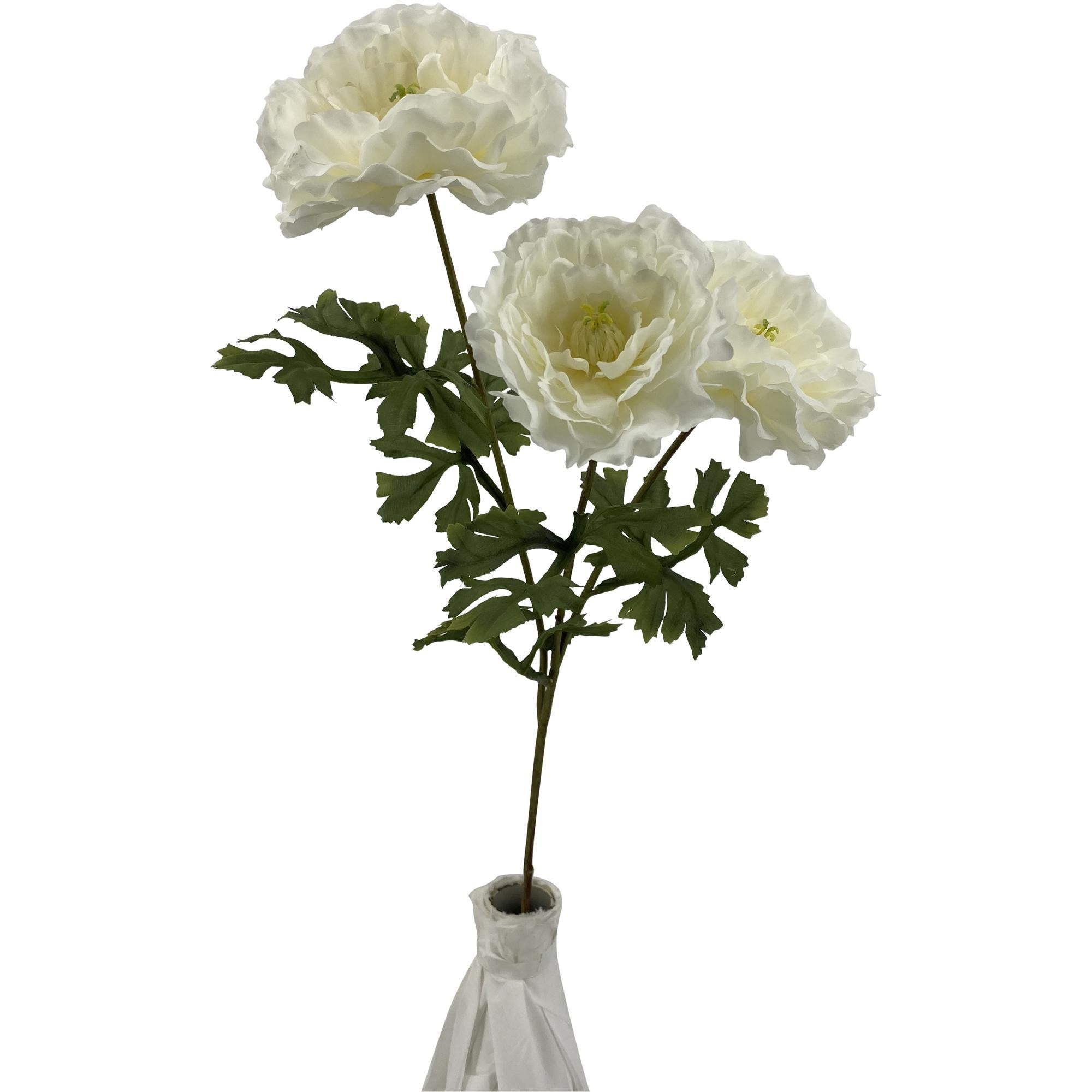 PEONIA