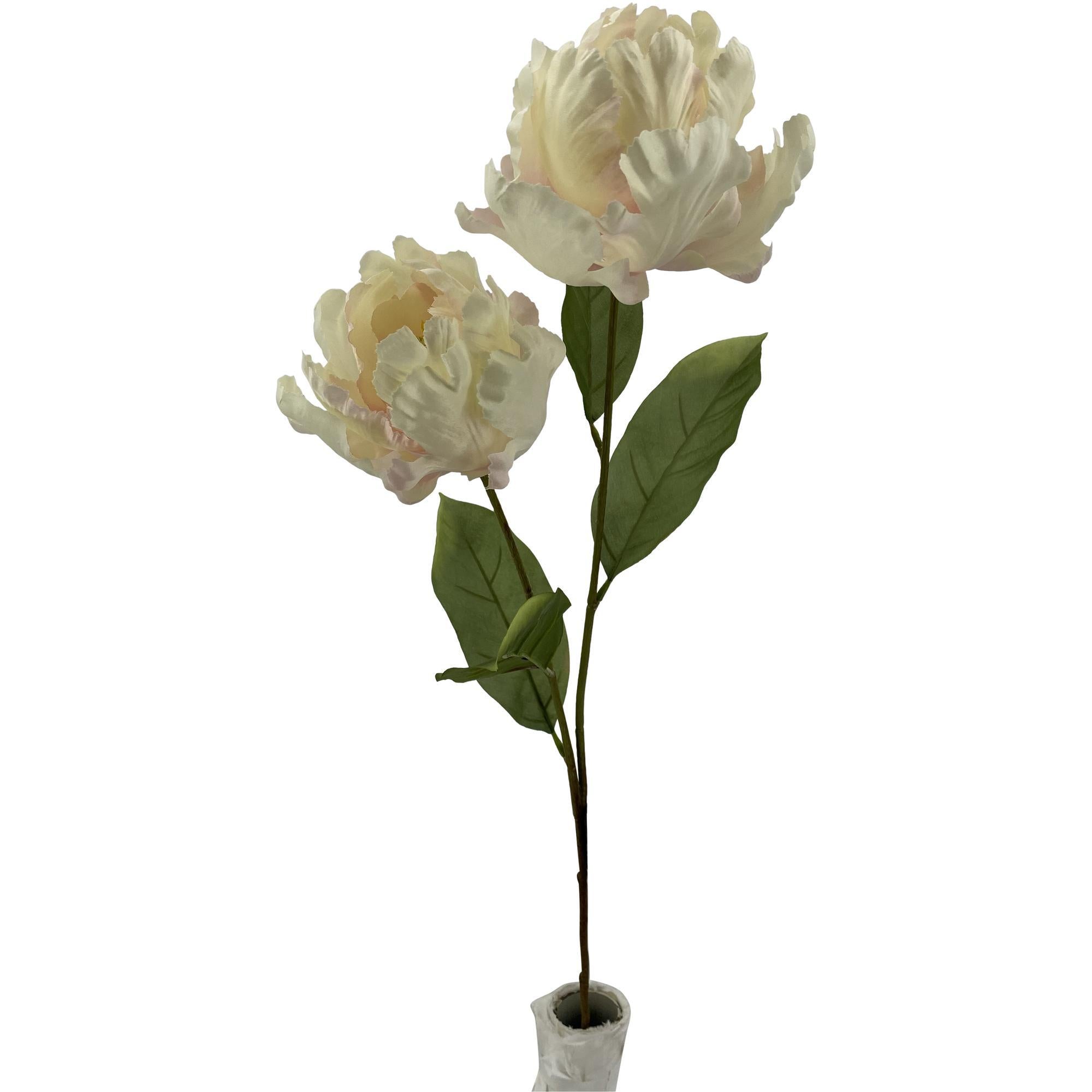 FLOR