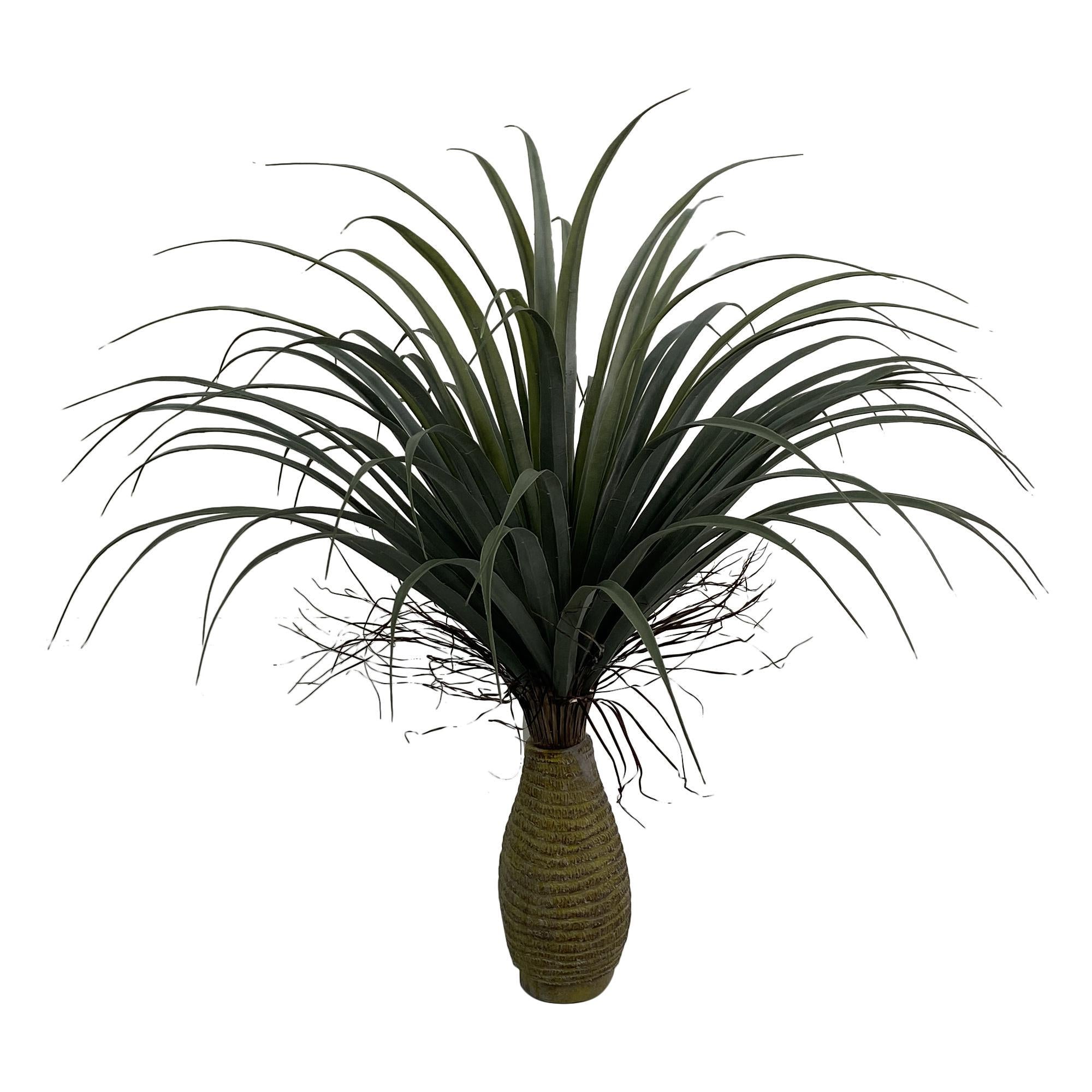 PLANTA