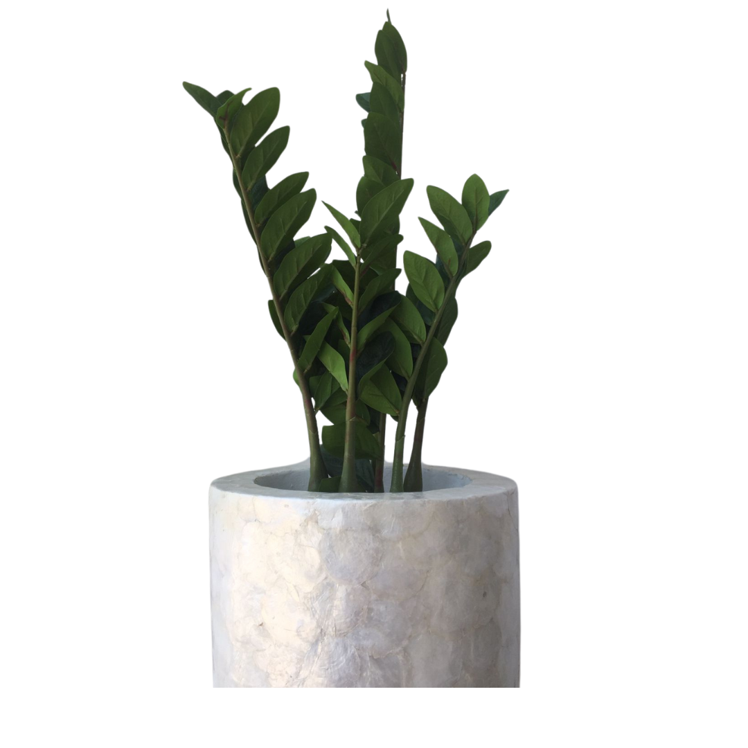 MACETA BLANCA