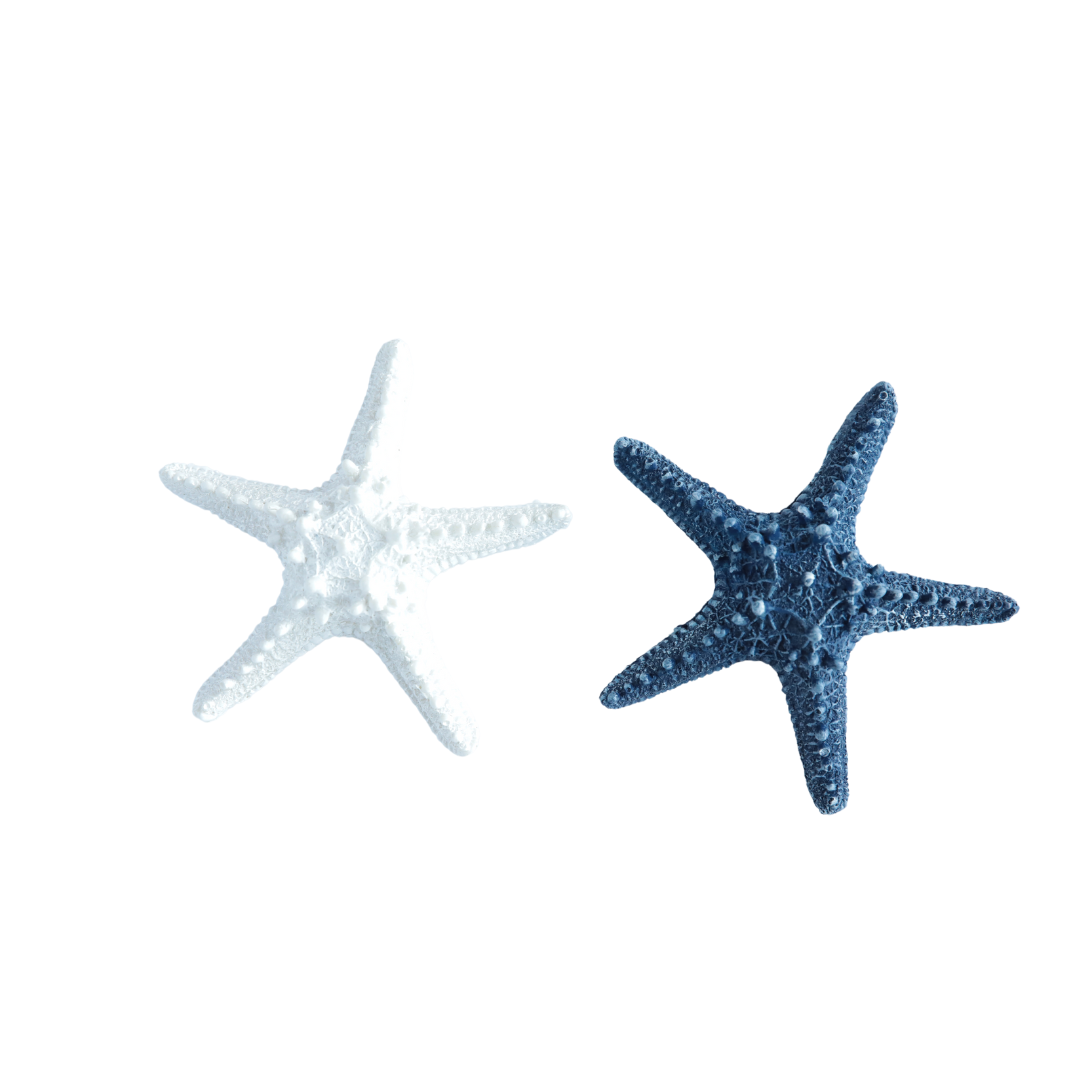 ESTRELLA MARINA DECORATIVA