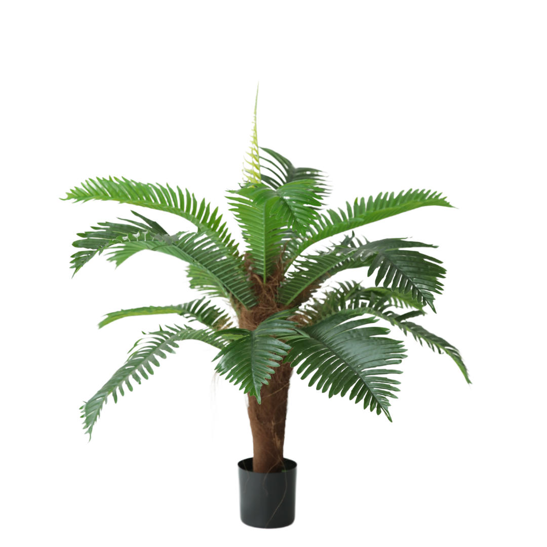PLANTA DECORATIVA CON POTERA