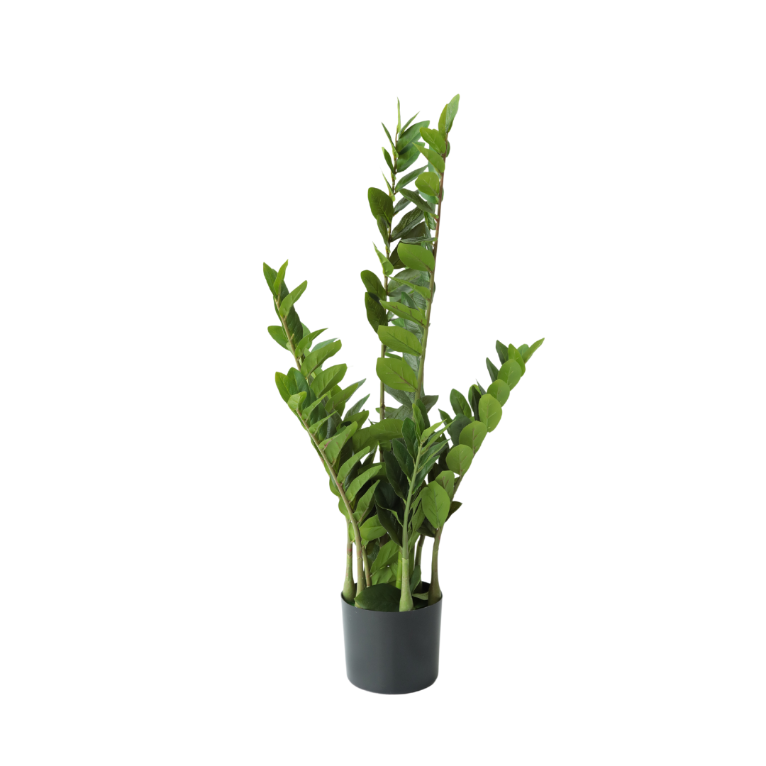 PLANTA DECORATIVA CON POTERA