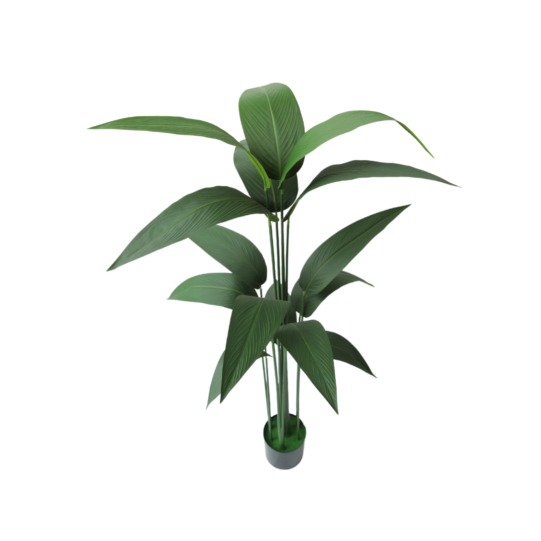 PLANTA CON POTERA
