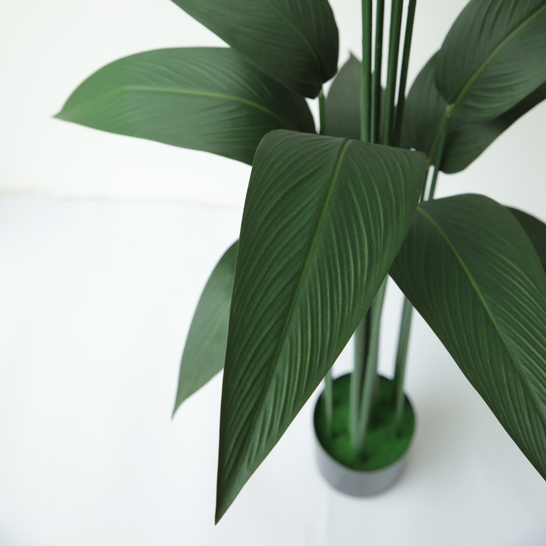 PLANTA CON POTERA