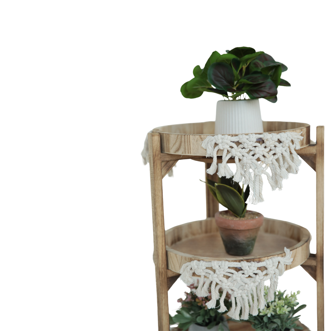 ORGANIZADOR DECORATIVO